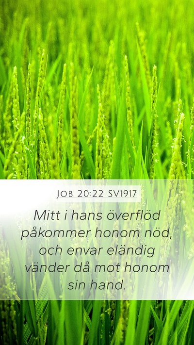 Job 20:22 SV1917 Mobile Phone Wallpaper - Mitt i hans överflöd påkommer honom nöd, och - Mobile Bible Verse Wallpaper