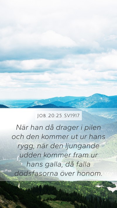 Job 20:25 SV1917 Bible Verse Image