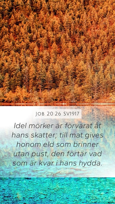 Job 20:26 SV1917 Bible Verse Image
