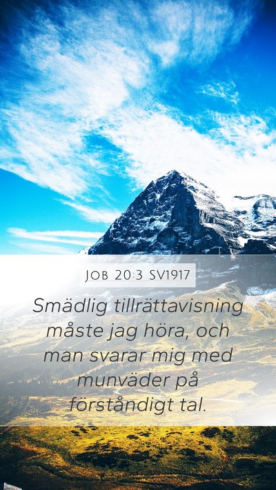 Job 20:3 SV1917 Bible Verse Image