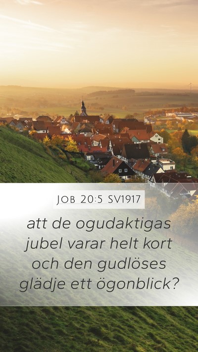 Job 20:5 SV1917 Bible Verse Image