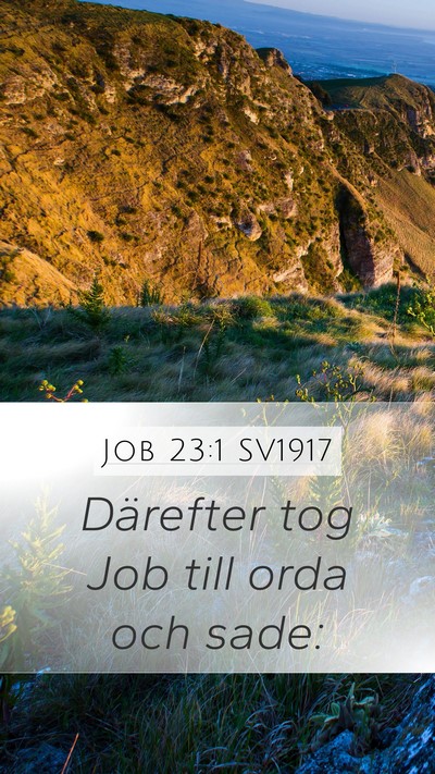 Job 23:1 SV1917 Mobile Phone Wallpaper - Därefter tog Job till orda och - Mobile Bible Verse Wallpaper