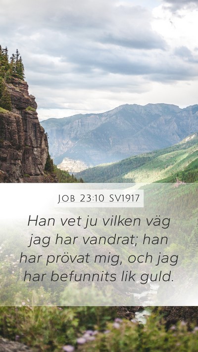 Job 23:10 SV1917 Bible Verse Image