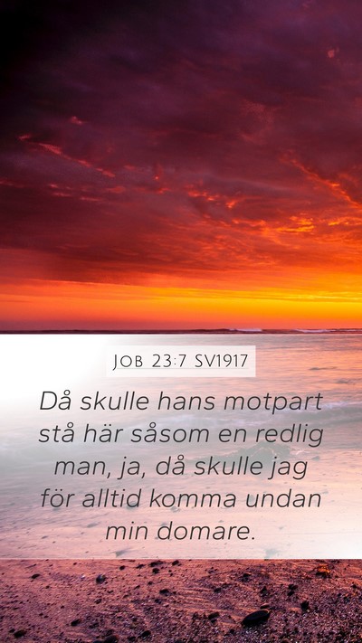 Job 23:7 SV1917 Bible Verse Image