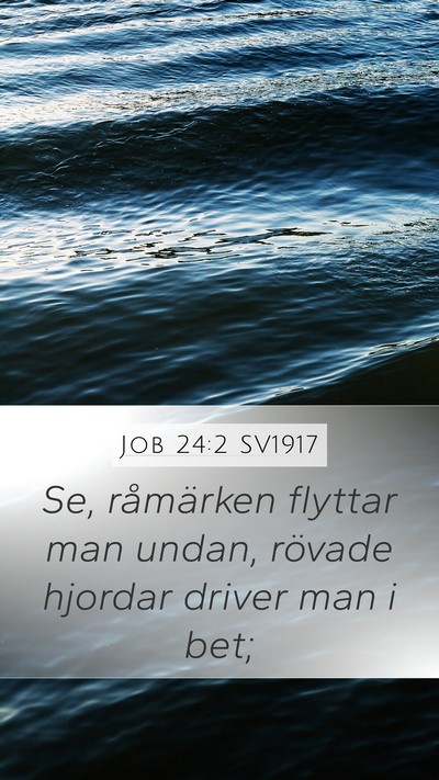 Job 24:2 SV1917 Bible Verse Image