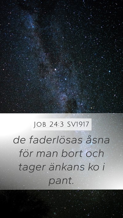 Job 24:3 SV1917 Bible Verse Image