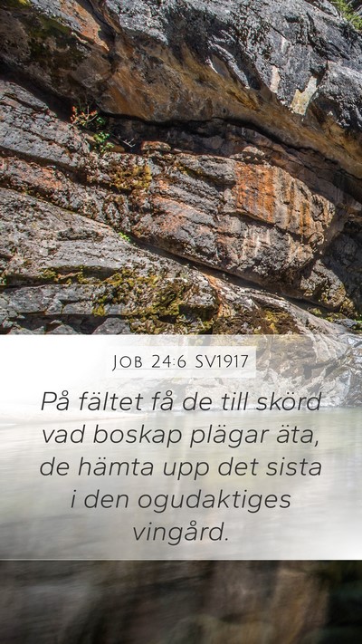 Job 24:6 SV1917 Mobile Phone Wallpaper - På fältet få de till skörd vad boskap plägar - Mobile Bible Verse Wallpaper