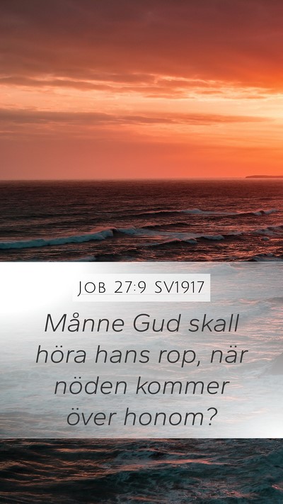 Job 27:9 SV1917 Bible Verse Image