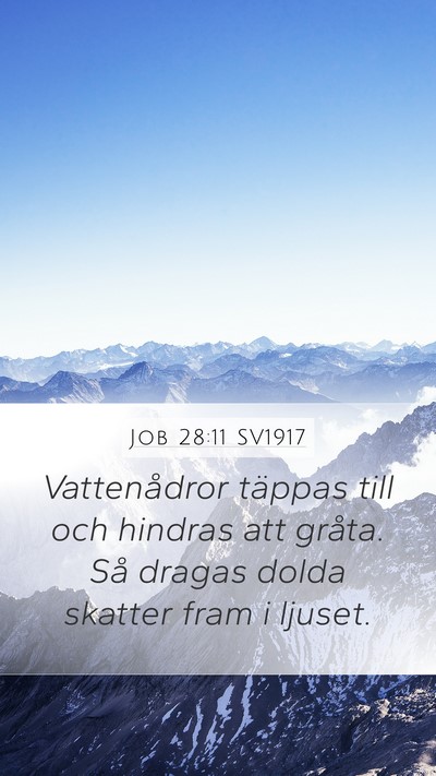 Job 28:11 SV1917 Bible Verse Image