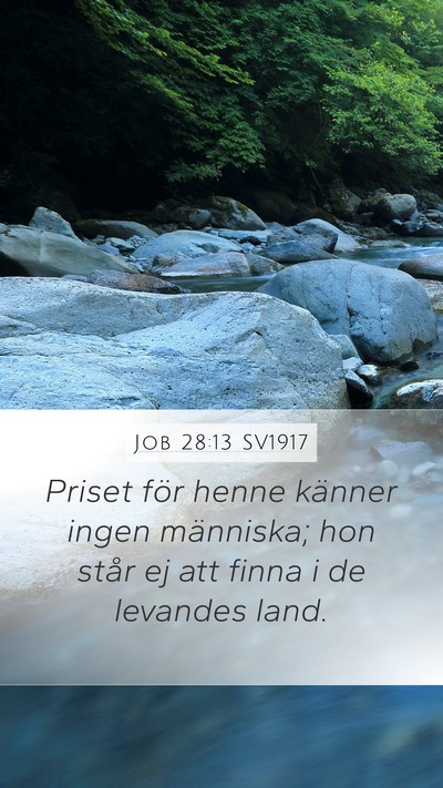 Job 28:13 SV1917 Bible Verse Image