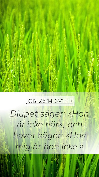 Job 28:14 SV1917 Bible Verse Image