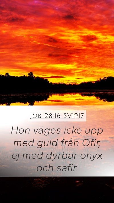 Job 28:16 SV1917 Bible Verse Image