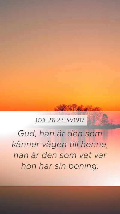 Job 28:23 SV1917 Bible Verse Image