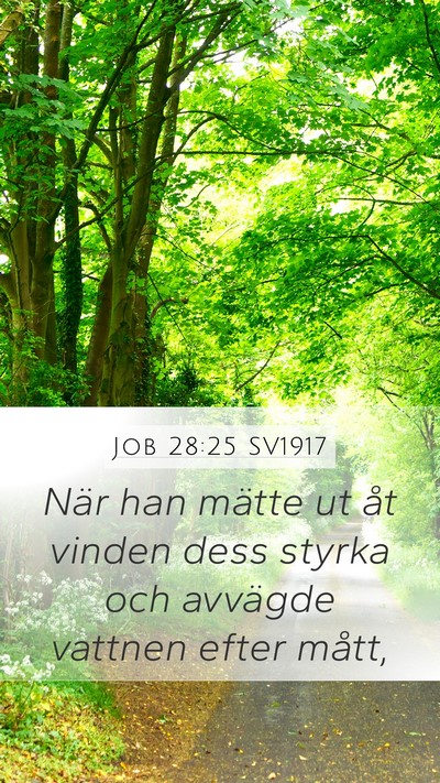 Job 28:25 SV1917 Bible Verse Image