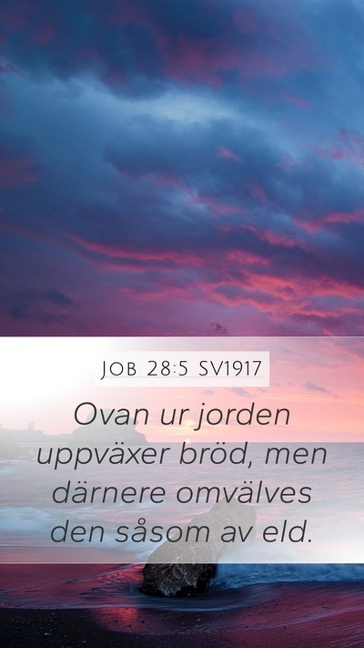 Job 28:5 SV1917 Bible Verse Image