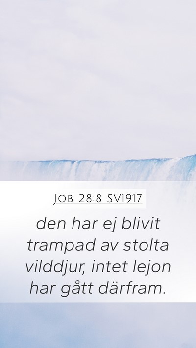 Job 28:8 SV1917 Mobile Phone Wallpaper - den har ej blivit trampad av stolta vilddjur, - Mobile Bible Verse Wallpaper