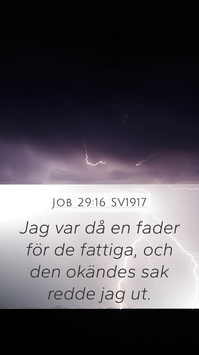 Job 29:16 SV1917 Bible Verse Image