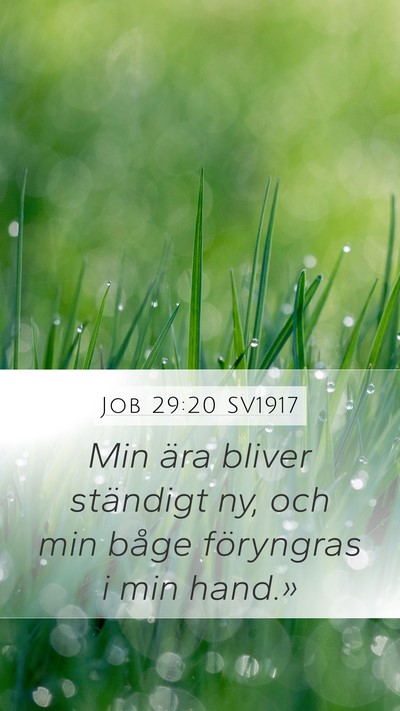 Job 29:20 SV1917 Bible Verse Image
