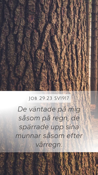 Job 29:23 SV1917 Bible Verse Image