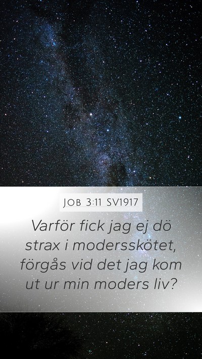 Job 3:11 SV1917 Bible Verse Image