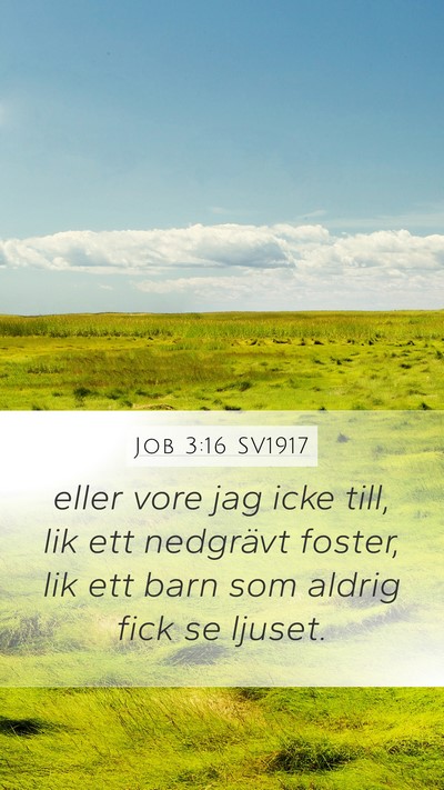 Job 3:16 SV1917 Bible Verse Image