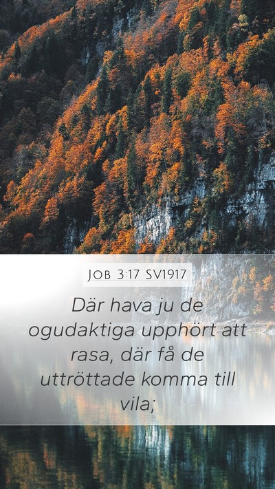 Job 3:17 SV1917 Bible Verse Image