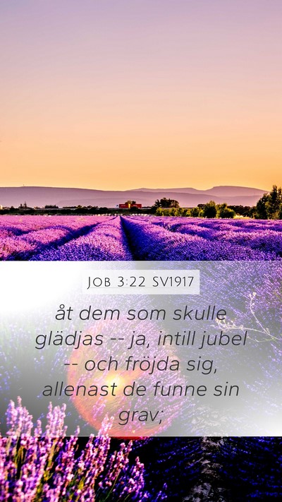 Job 3:22 SV1917 Bible Verse Image