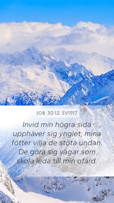 Job 30:12 SV1917 Bible Verse Image