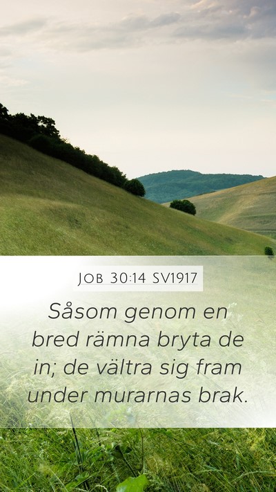 Job 30:14 SV1917 Bible Verse Image