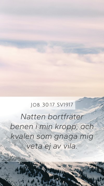 Job 30:17 SV1917 Bible Verse Image
