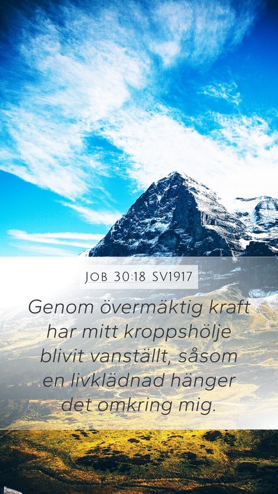 Job 30:18 SV1917 Bible Verse Image