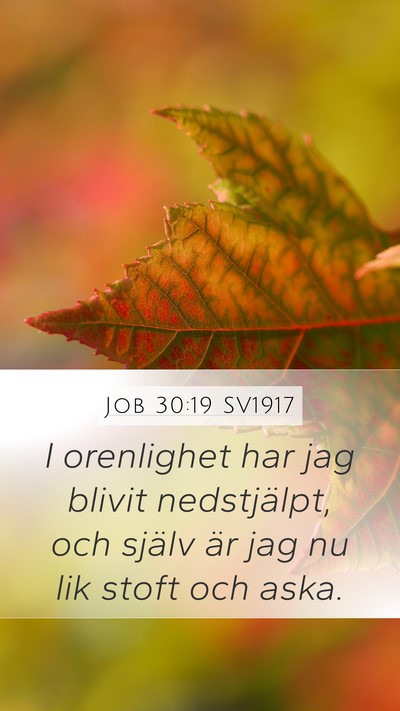 Job 30:19 SV1917 Bible Verse Image
