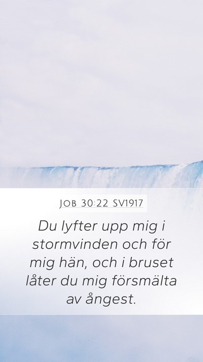 Job 30:22 SV1917 Mobile Phone Wallpaper - Du lyfter upp mig i stormvinden och för mig - Mobile Bible Verse Wallpaper