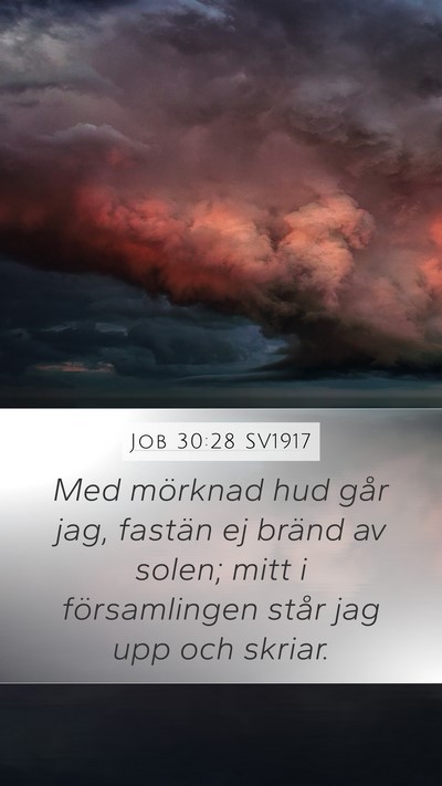 Job 30:28 SV1917 Bible Verse Image