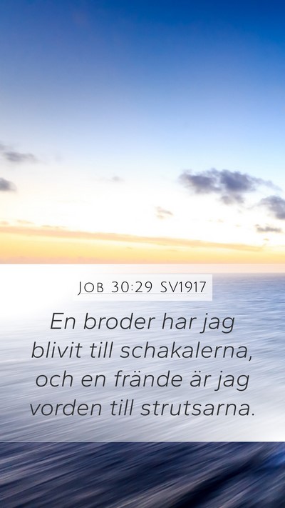Job 30:29 SV1917 Bible Verse Image