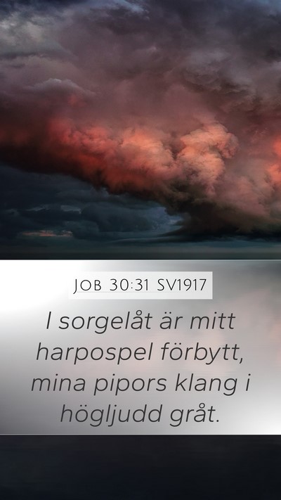 Job 30:31 SV1917 Mobile Phone Wallpaper - I sorgelåt är mitt harpospel förbytt, mina - Mobile Bible Verse Wallpaper