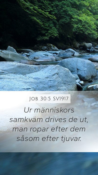 Job 30:5 SV1917 Bible Verse Image