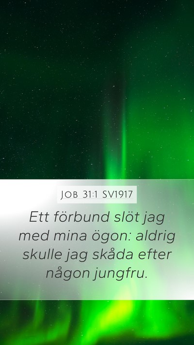 Job 31:1 SV1917 Bible Verse Image