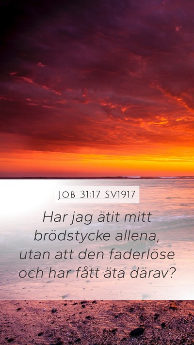 Job 31:17 SV1917 Bible Verse Image