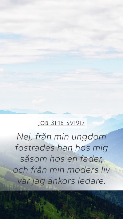 Job 31:18 SV1917 Bible Verse Image