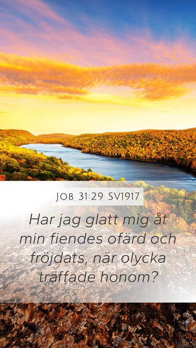 Job 31:29 SV1917 Bible Verse Image