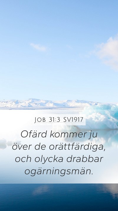 Job 31:3 SV1917 Bible Verse Image