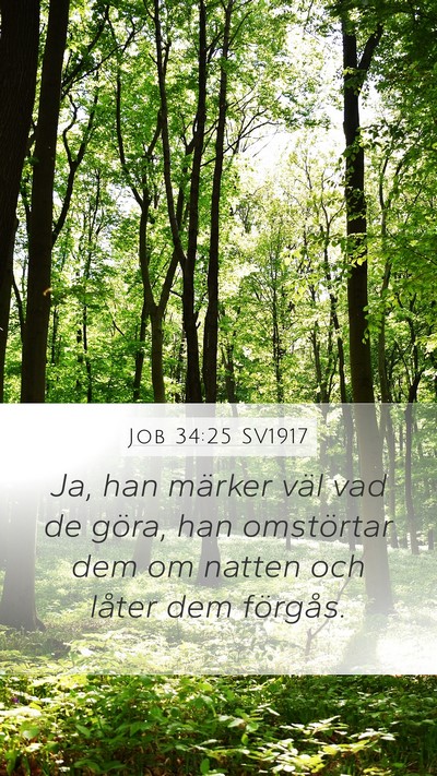 Job 34:25 SV1917 Bible Verse Image