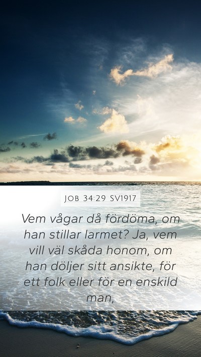 Job 34:29 SV1917 Bible Verse Image