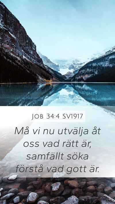 Job 34:4 SV1917 Bible Verse Image