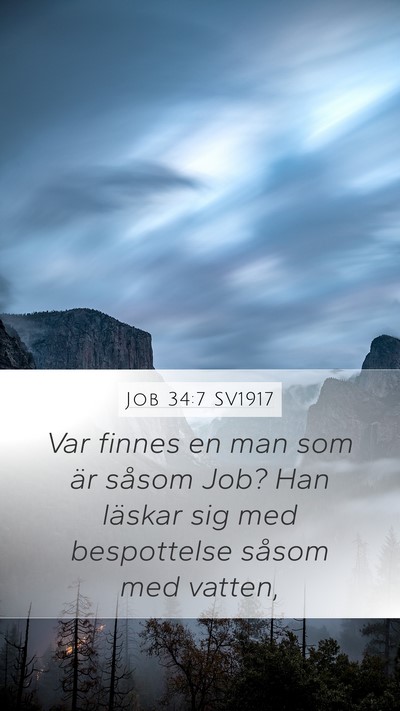 Job 34:7 SV1917 Bible Verse Image