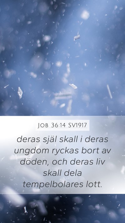 Job 36:14 SV1917 Bible Verse Image