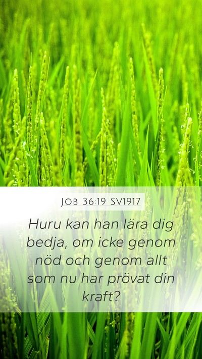 Job 36:19 SV1917 Mobile Phone Wallpaper - Huru kan han lära dig bedja, om icke genom nöd - Mobile Bible Verse Wallpaper