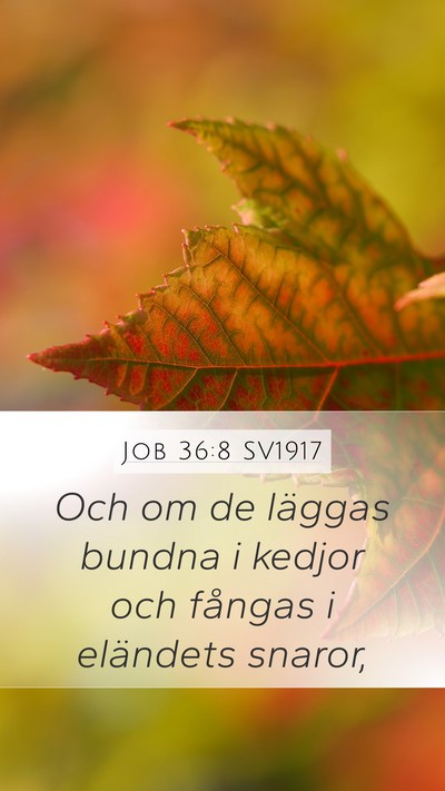 Job 36:8 SV1917 Bible Verse Image