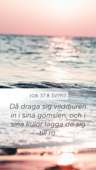 Job 37:8 SV1917 Mobile Phone Wallpaper - Då draga sig vilddjuren in i sina gömslen, och - Mobile Bible Verse Wallpaper